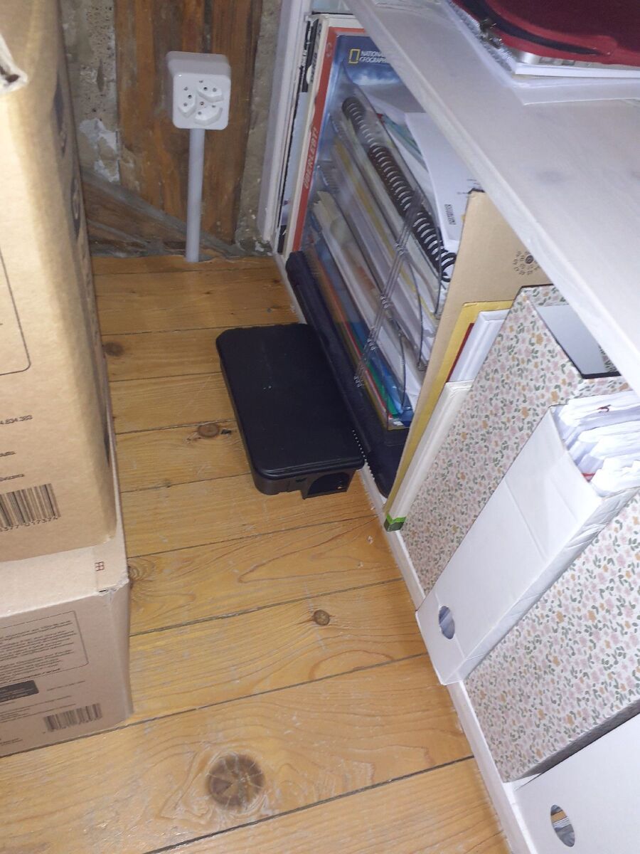 ratten-bekaempfung-ratten-vertreiben4.jpg