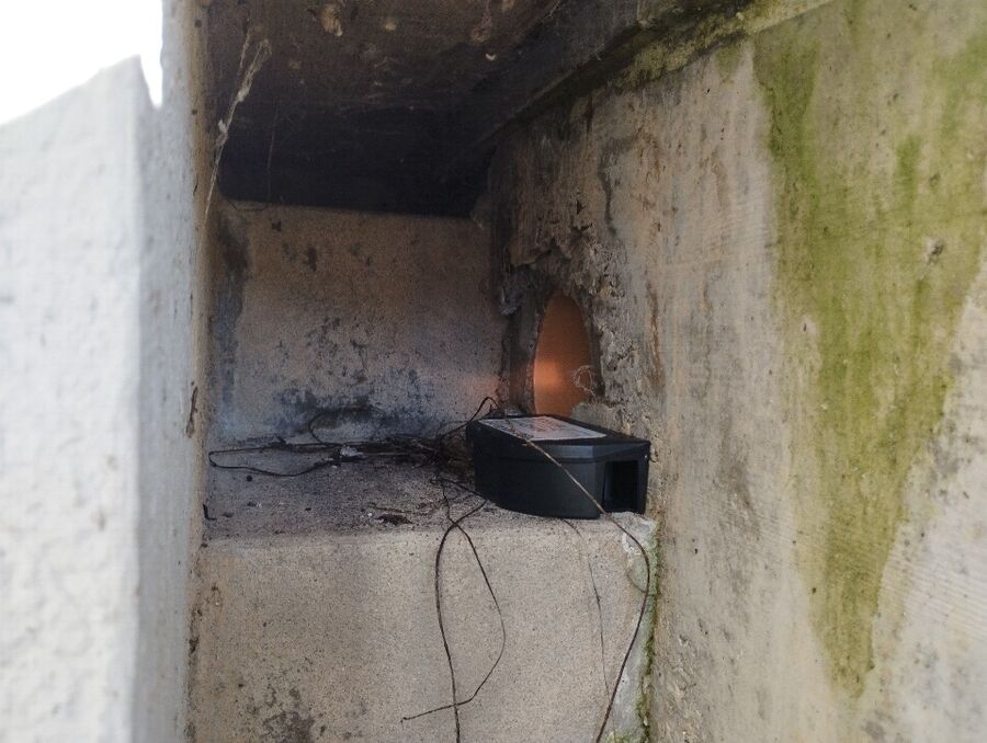 ratten-bekaempfung-ratten-vertreiben3.jpg